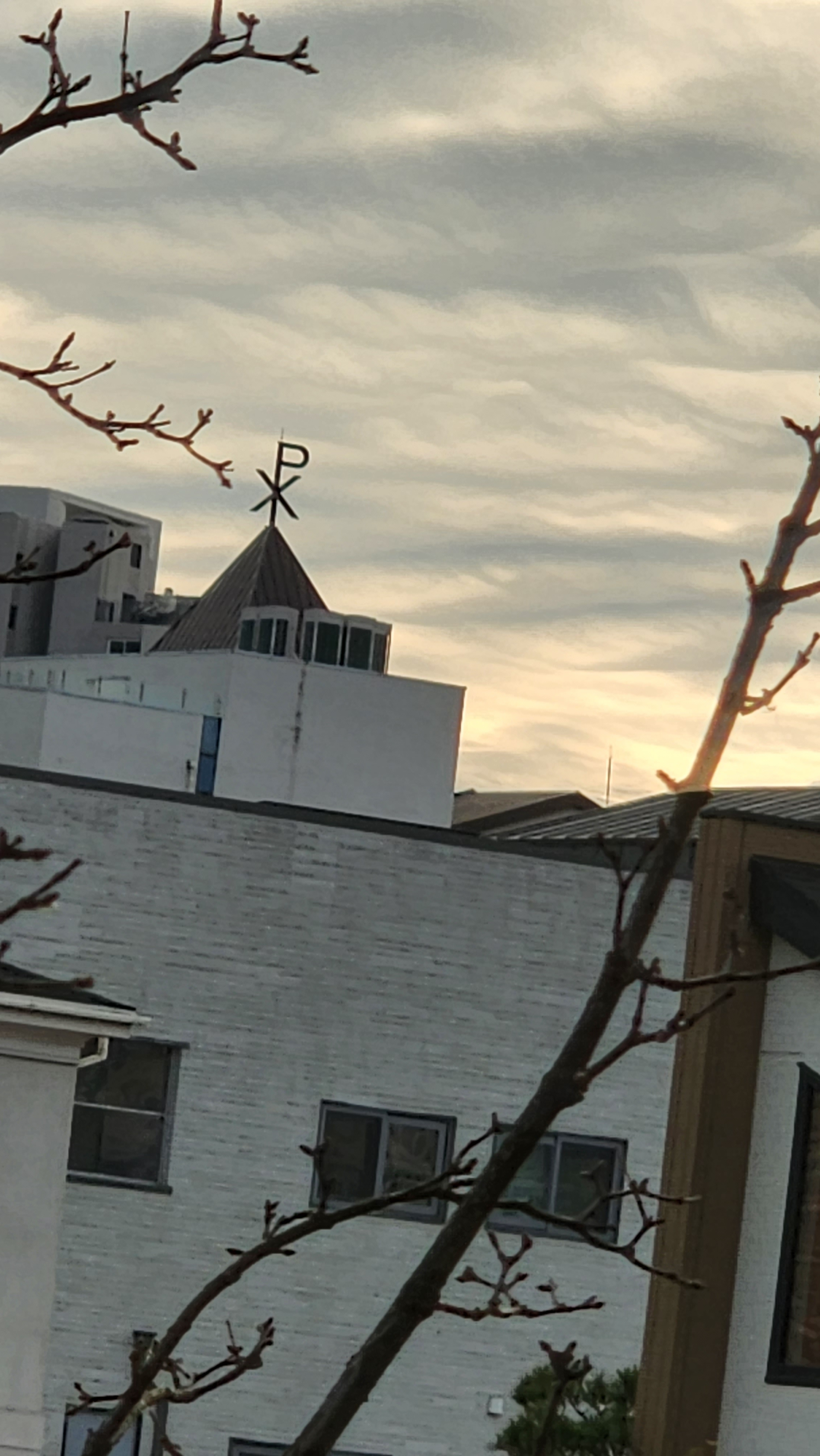 20241207_155015.jpg